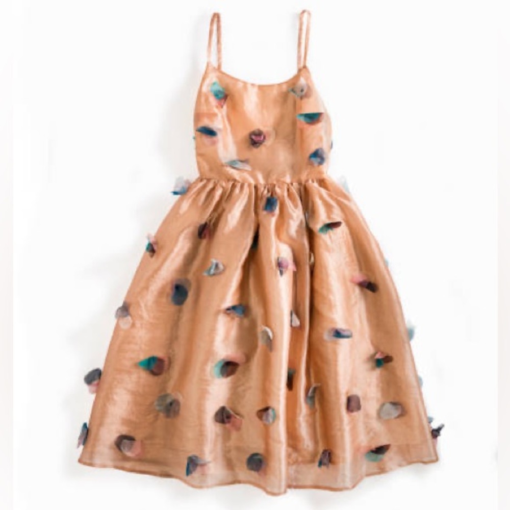 Rachel Antonoff Peach Dress 3D Petal Floral Sheer Pastel Designer 2015 Line 8 - Picture 9 of 9